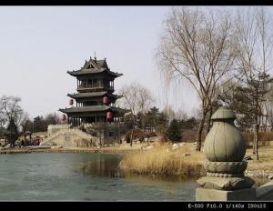 庄园风景照片2
