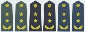 陆海空军中将常服肩章(2007～)