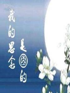 我的思念是圆的