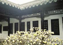大丰