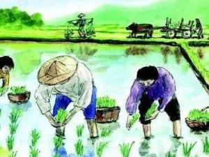 《乡村四月》