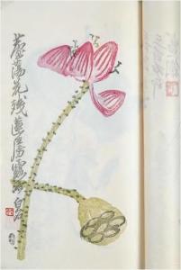 郑笺图册