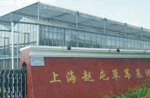 赵屯镇