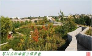 军川农场图册
