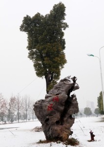 江苏财经职业技术学院雪景