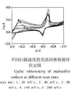 不同扫描速度的循环伏安图