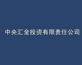 中央汇金投资有限责任公司 - 搜狗百科