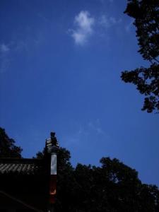 褐山图册