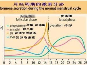 月经