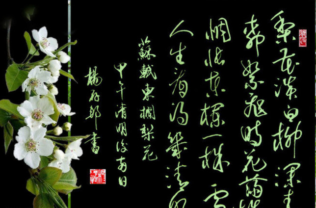 东栏梨花 搜狗百科 东栏梨花 搜狗百科