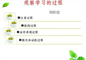 观察学习