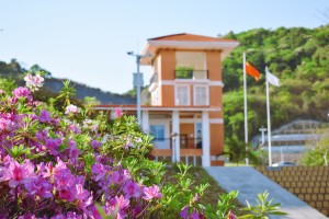 广州南方学院