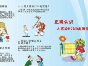 人感染禽流感