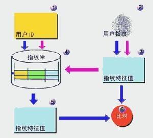 指纹匹配技术