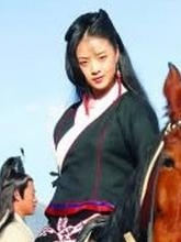 木婉清影视形象