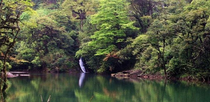 大雪峰原始森林风景名胜区