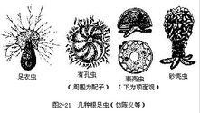 图2-21