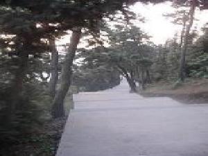 航坞秀色