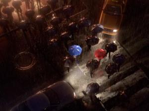 蓝雨伞之恋