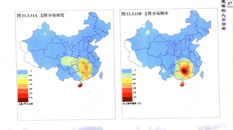 文姓分布密度频率图