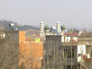 唐河湖阳街区图片