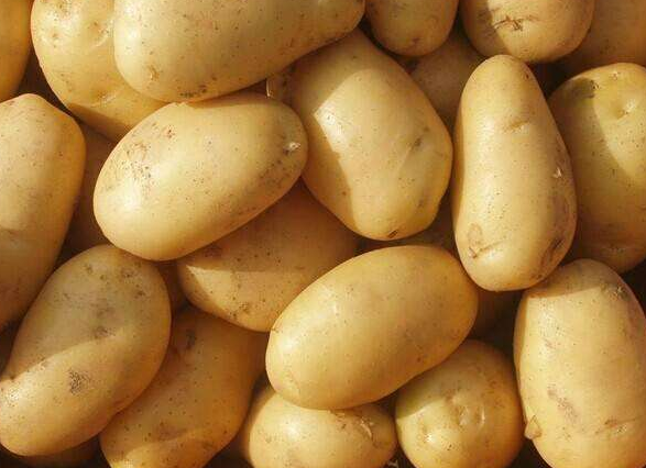 土豆的功效与作用