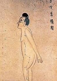 胆经