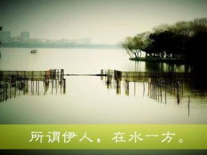 所谓伊人，在水一方