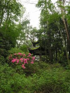 蒋母墓道图册