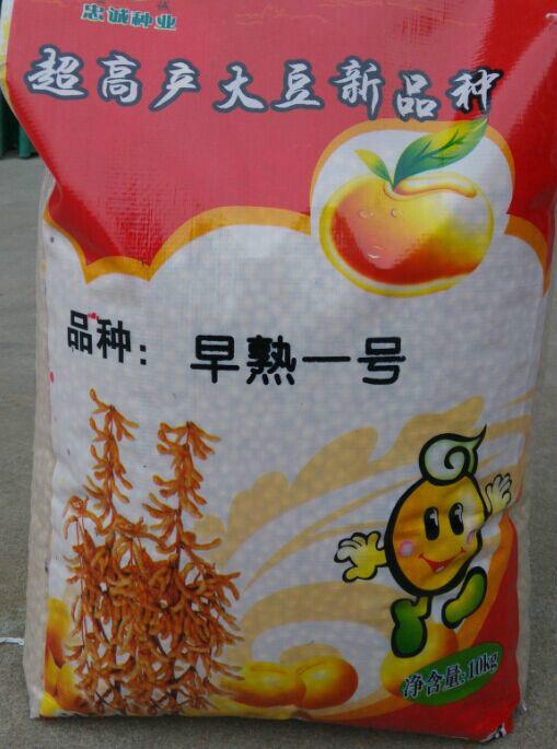 大豆早熟一号