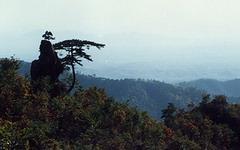 鹫峰山