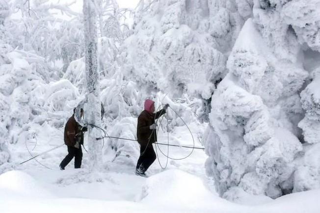 2008年中国雪灾(2008年大范围自然灾害)_搜狗百科
