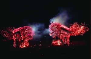 莘县温庄火狮子