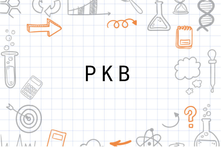 Pkb Production PKB_搜狗百科