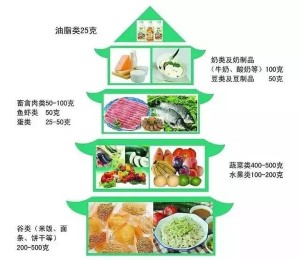 平衡膳食宝塔