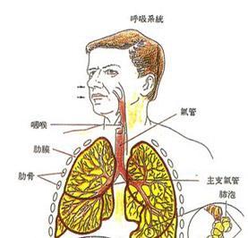 肺结核照片图解图片