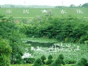 “库”错字醒目横卧坝顶