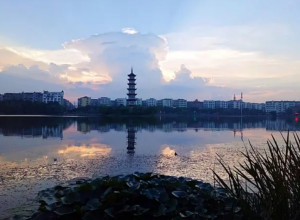 南县