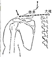 足少阳胆经