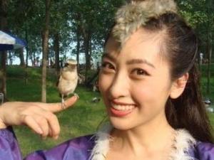 法提麦·雅琦