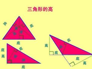 三角形的高