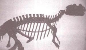 奇齿龙