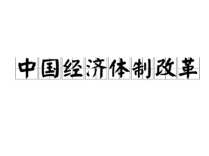 经济体制改革