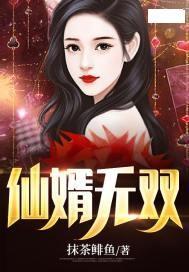 仙婿短剧全集免费观看，一场视觉与情感的盛宴，免费观看仙婿短剧全集，视觉与情感的盛宴