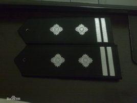 二级警督为中国警衔体系的第7等级,由公安部部长授予正处级,副处级,正