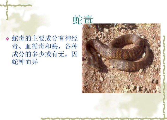 蛇毒