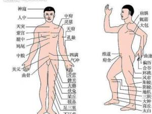 穴位