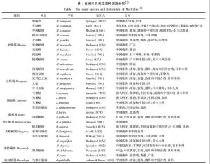 表1 蛤蜊科贝类主要种类及分布
