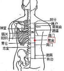 意舍