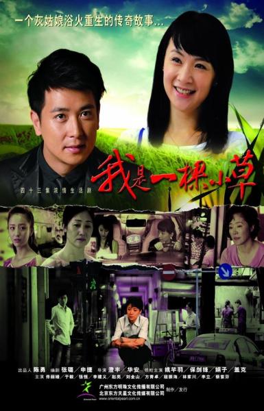 我是一棵小草(2009)出品人:陳勇 導演 :澄豐,華安 編劇:張璐,申捷